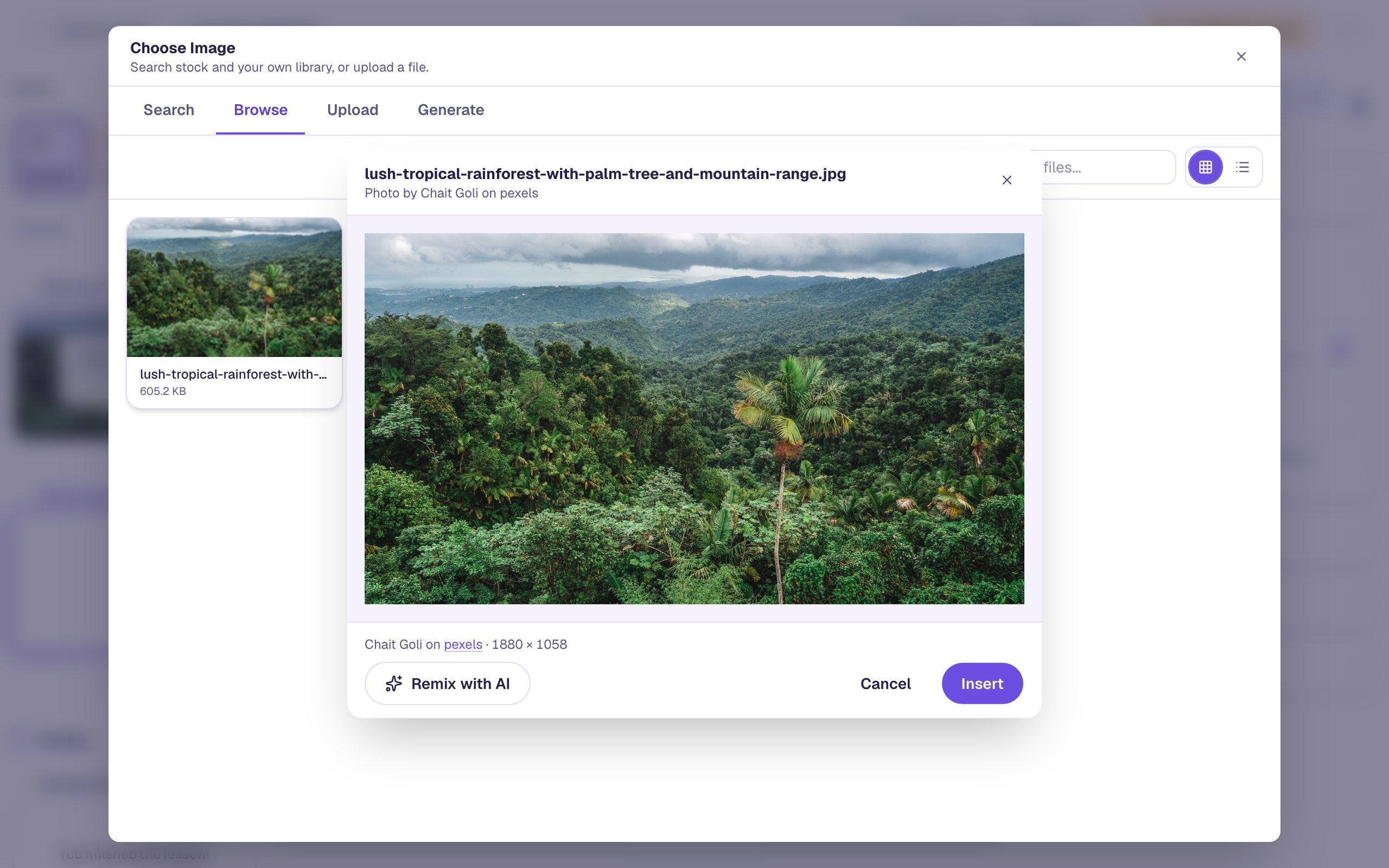 The Browse tab with the one imported photo, lush-tropical-rainforest-with-palm-tree-and-mountain-range.jpg, open in its preview with Insert at the bottom